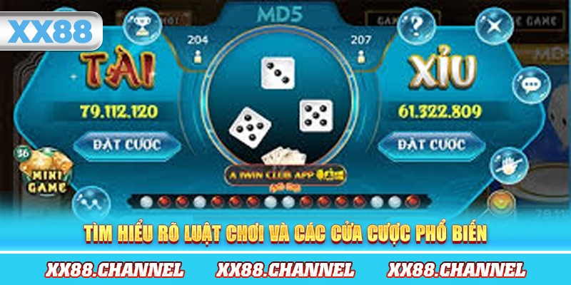 Tìm hiểu rõ luật chơi và các cửa cược phổ biến