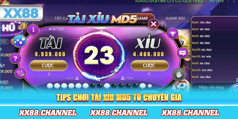 Tips chơi tài xỉu MD5 từ chuyên gia
